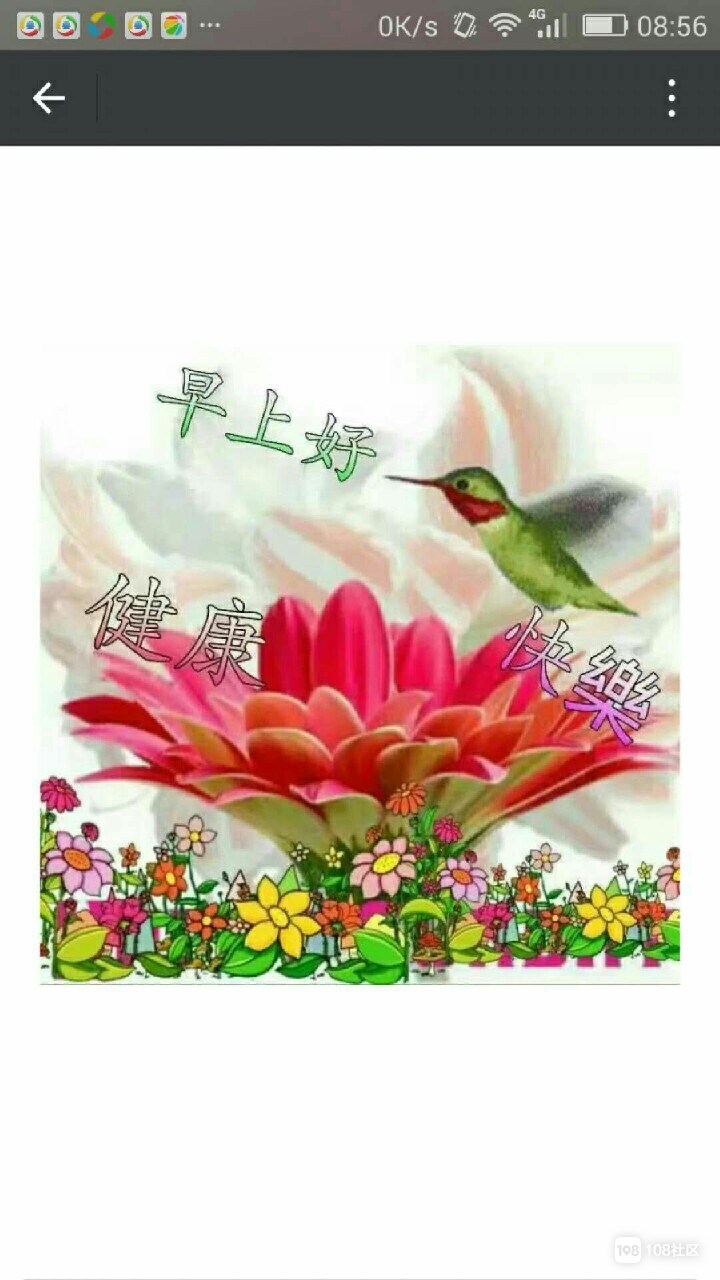 畅说苍南_苍南108生活社区