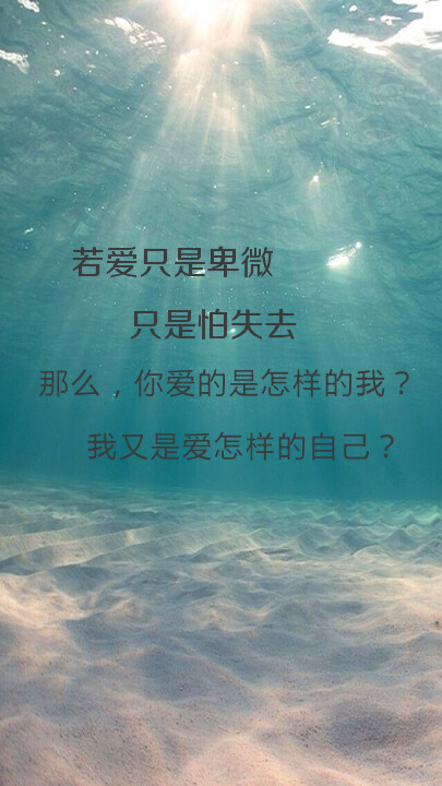 爱,不是卑微的.