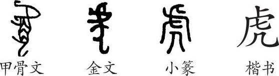 "虎"是象形字.甲骨文是头朝上,尾朝下,腿朝左的一只虎,身上有花纹.