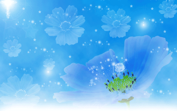 win7动态植物花卉,高清图片,系统壁纸,win7-回车桌面