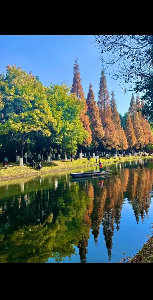 一晃又一秋,有人见面 有人再也不见#一晃又一秋 #治愈系风景 - 抖音