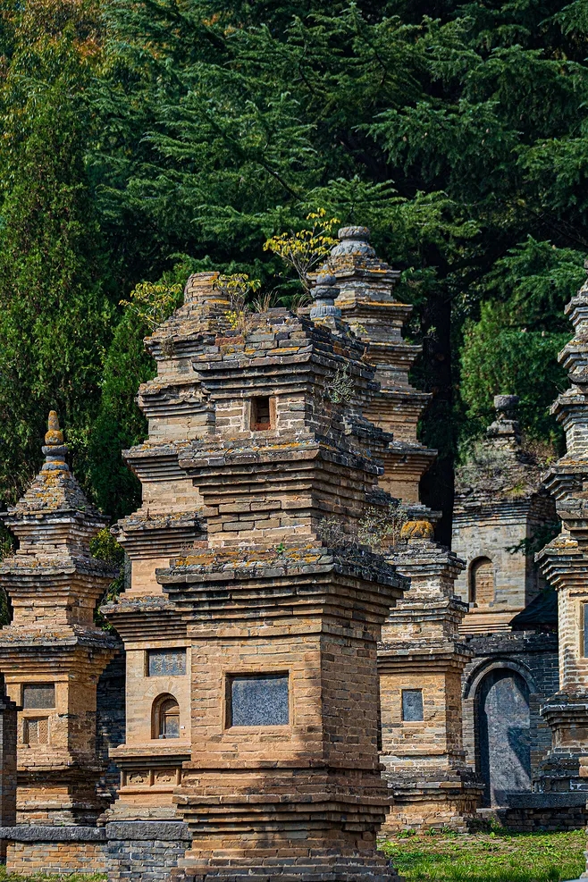 少林故事丨乾隆皇帝在少林寺塔林数塔