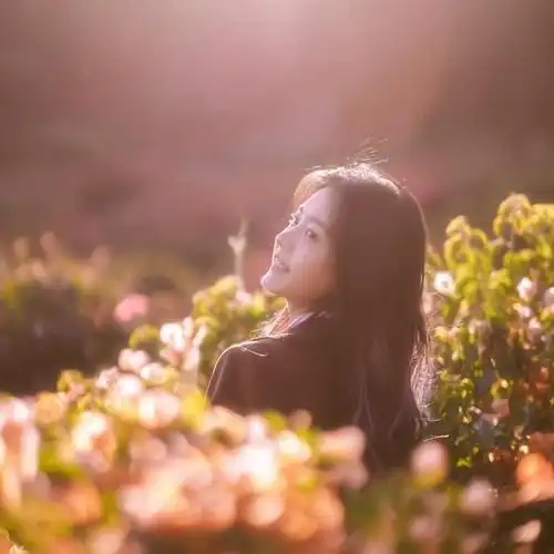 头像女生简单气质唯美清新