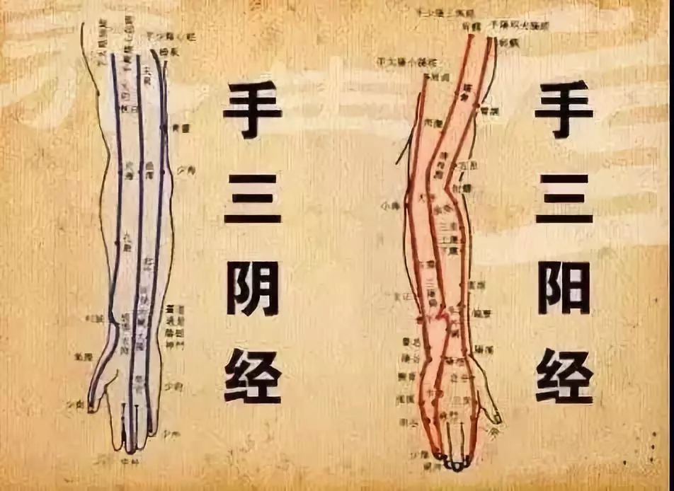 手腕是手三阴经和手三阳经共同穿过的部位,在手腕处分布的主要穴位有