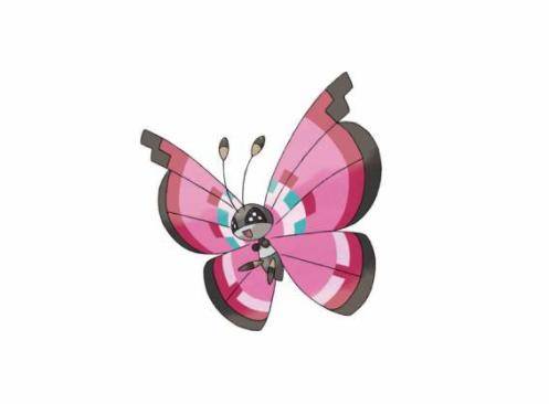 眼睛和进化前一样都有呈现方型的形状,彩粉蝶翅膀上的斑点位置,花纹