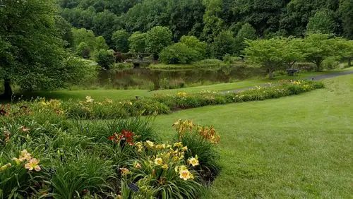 华盛顿郊区维也纳小镇里有个meadowlark植物园,面积不大,但山坡,草地
