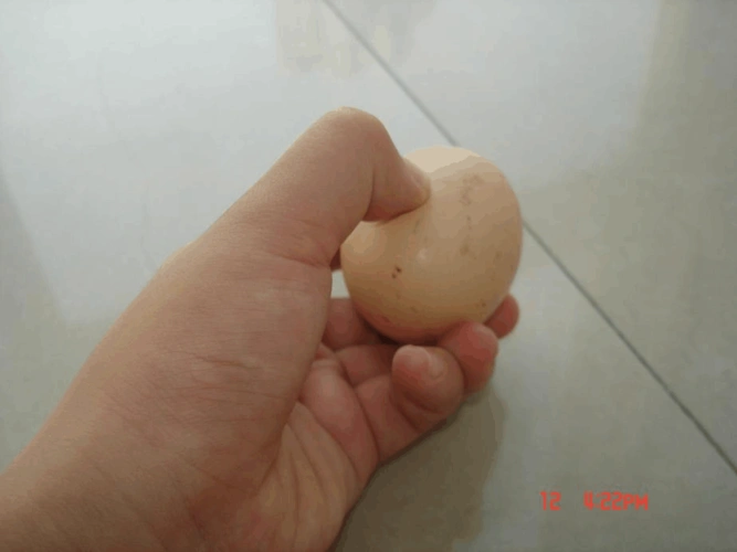 鸡蛋用手指捏得破吗 为什么捏不破