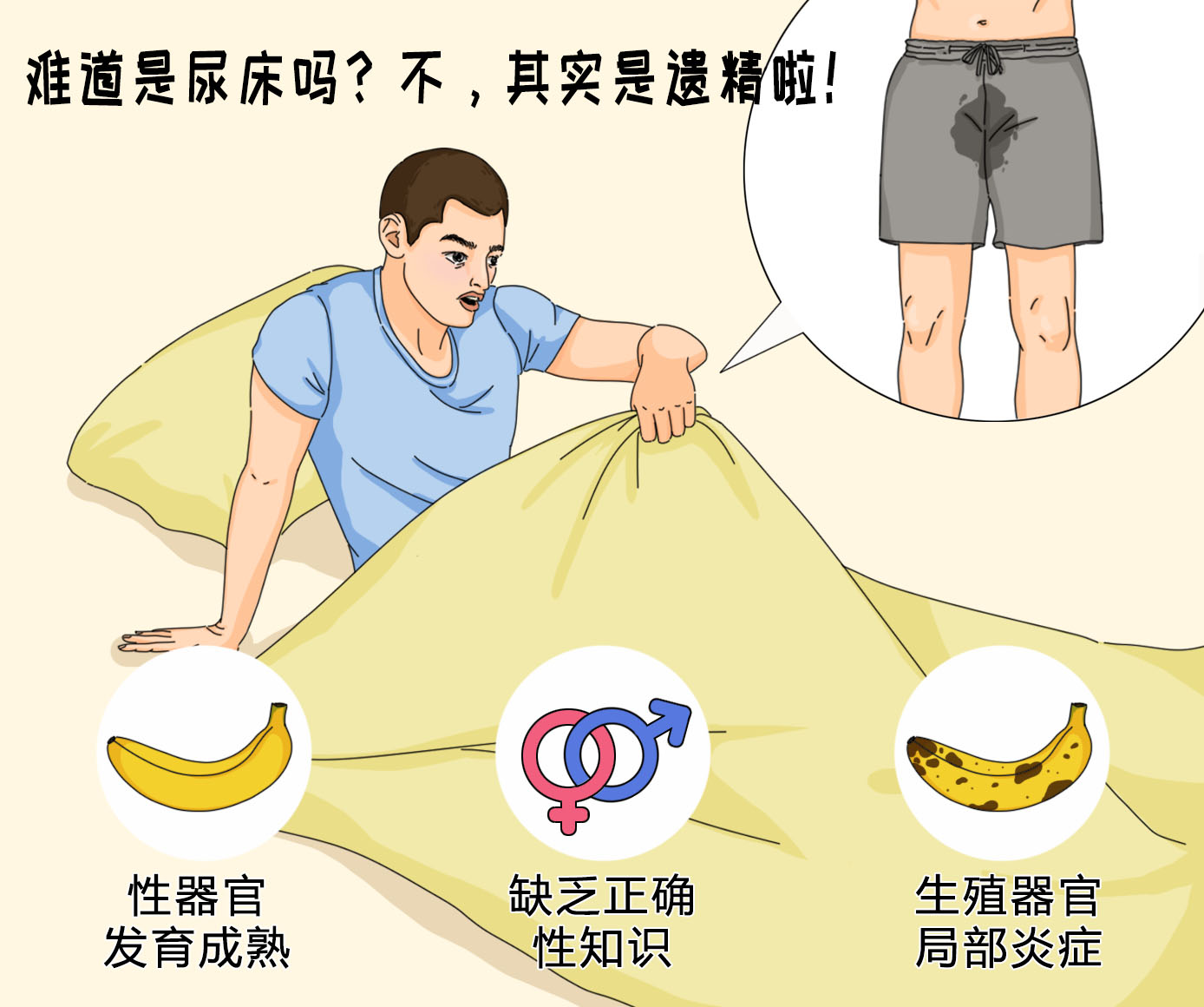 遗精是什么年龄段