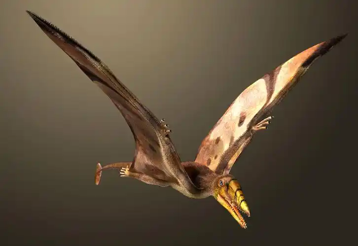 沛温翼龙_恐龙种类_恐龙品种分类l型名称大全恐龙品类图片大全名字