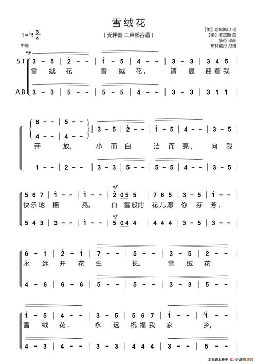 雪绒花无伴奏二声部合唱