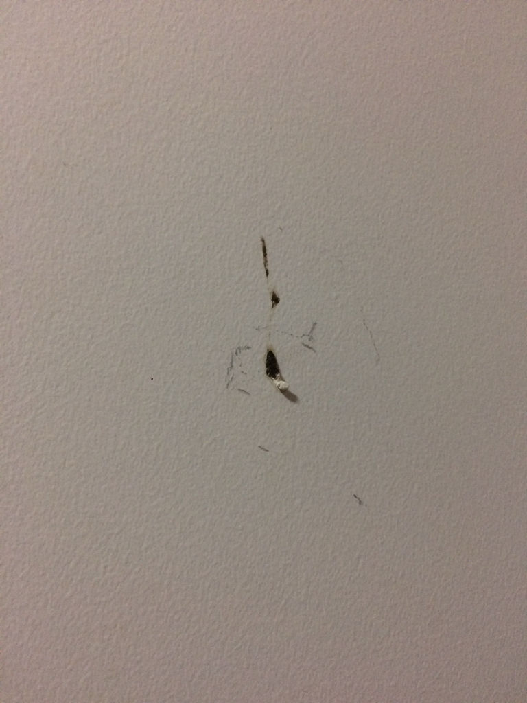 这种到底是什么生物留下的粪便?老鼠?小强?