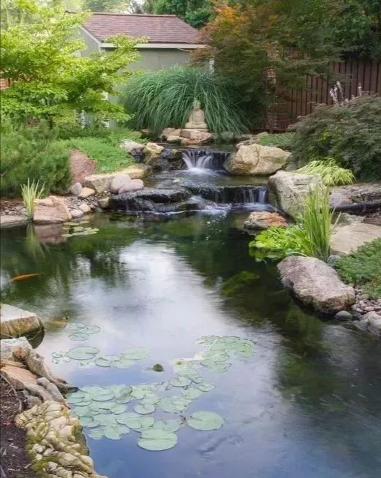 驳岸硬化过度的温州河流在你眼中还美吗自然之美人工之美谁更胜一筹