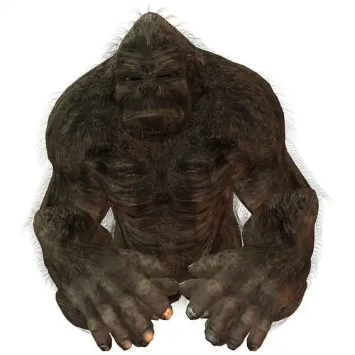 银背大猩猩,大猩猩