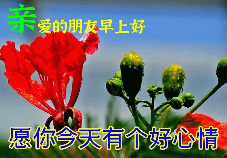 6月25日最漂亮早上好动态表情图片大全早晨好动图美图大全