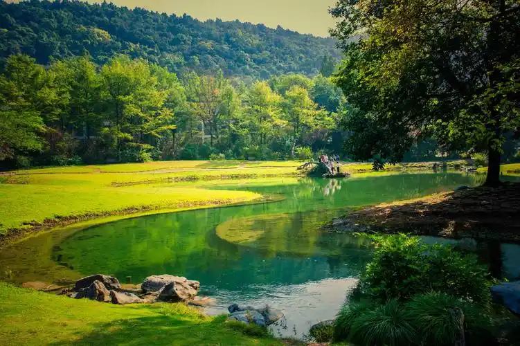 2019年10月10日在杭州太子湾公园