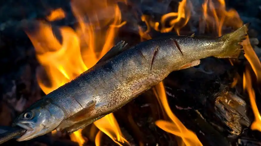 野外这样烤鱼,真的是简单又美味!