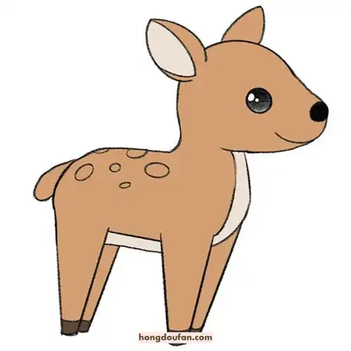 6张可爱的小动物简单简笔画企鹅树袋熊蝙蝠绵羊梅花鹿