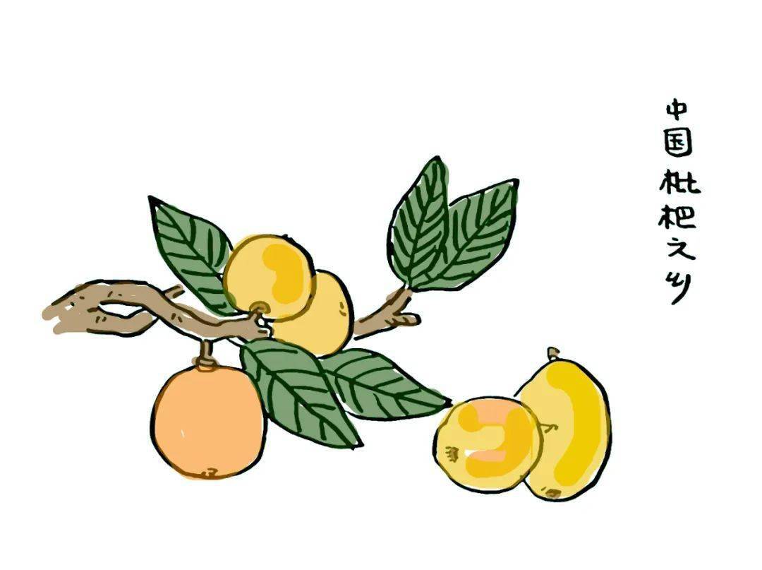 四季黄山相约夏天皖美好味道三潭枇杷61浸染皖南的初夏