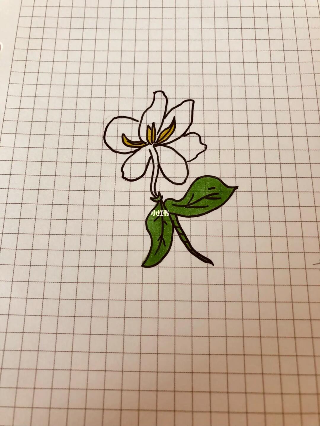 画画打卡  #简笔画临摹  #零基础学画画  #茉莉花  #花卉简笔画