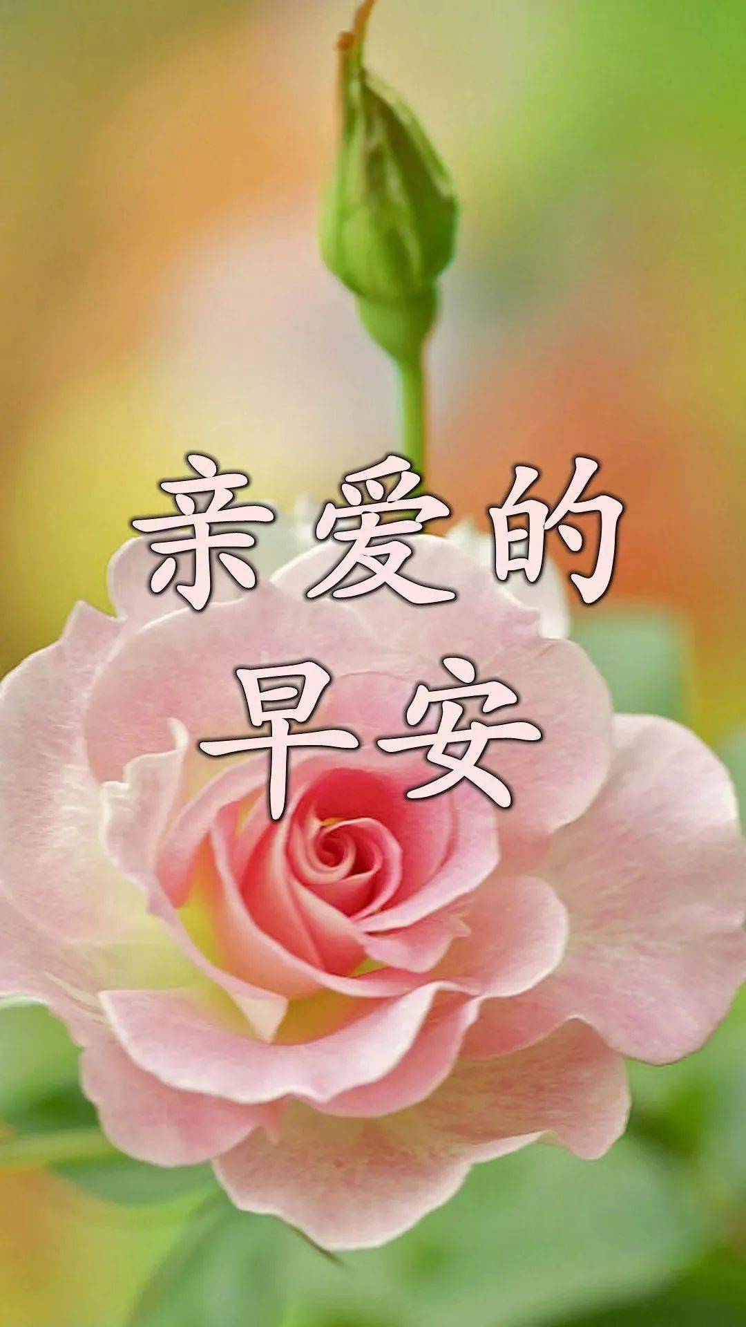 2021寒冬早上好动图表情包图片带字冬天早安问候祝福语图片大全