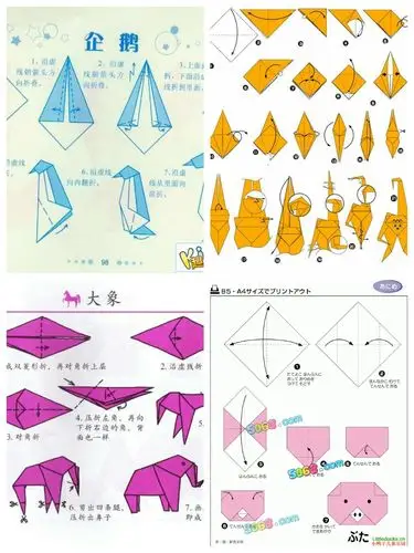闫老师是用折纸的方式来让同学们了解动物的哦!