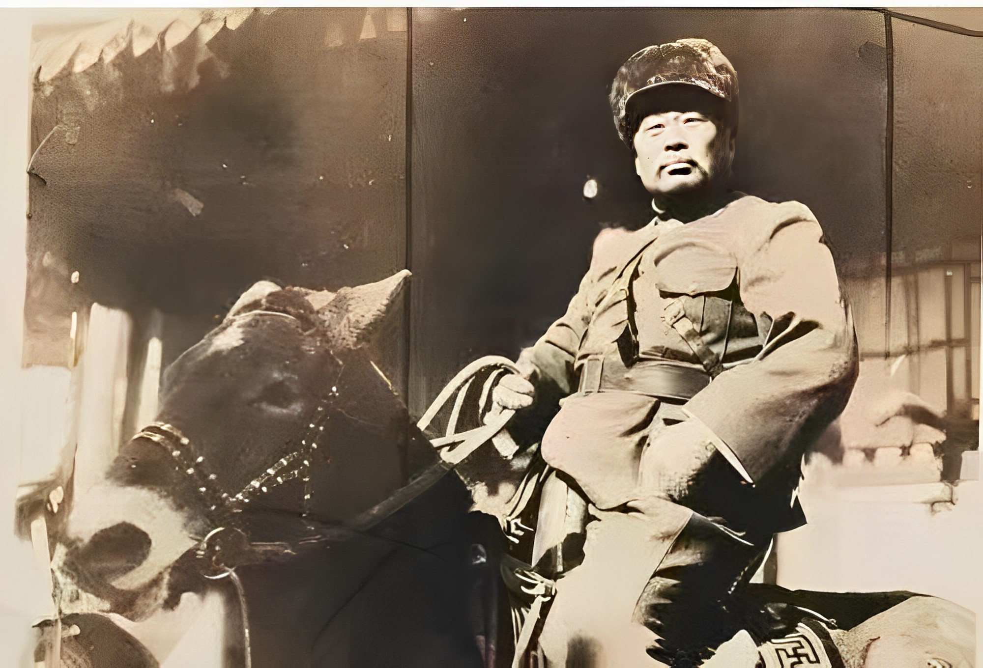 汤玉麟以喜爱老虎而闻名.他自己的书名叫二虎.他和张作霖是兄弟.