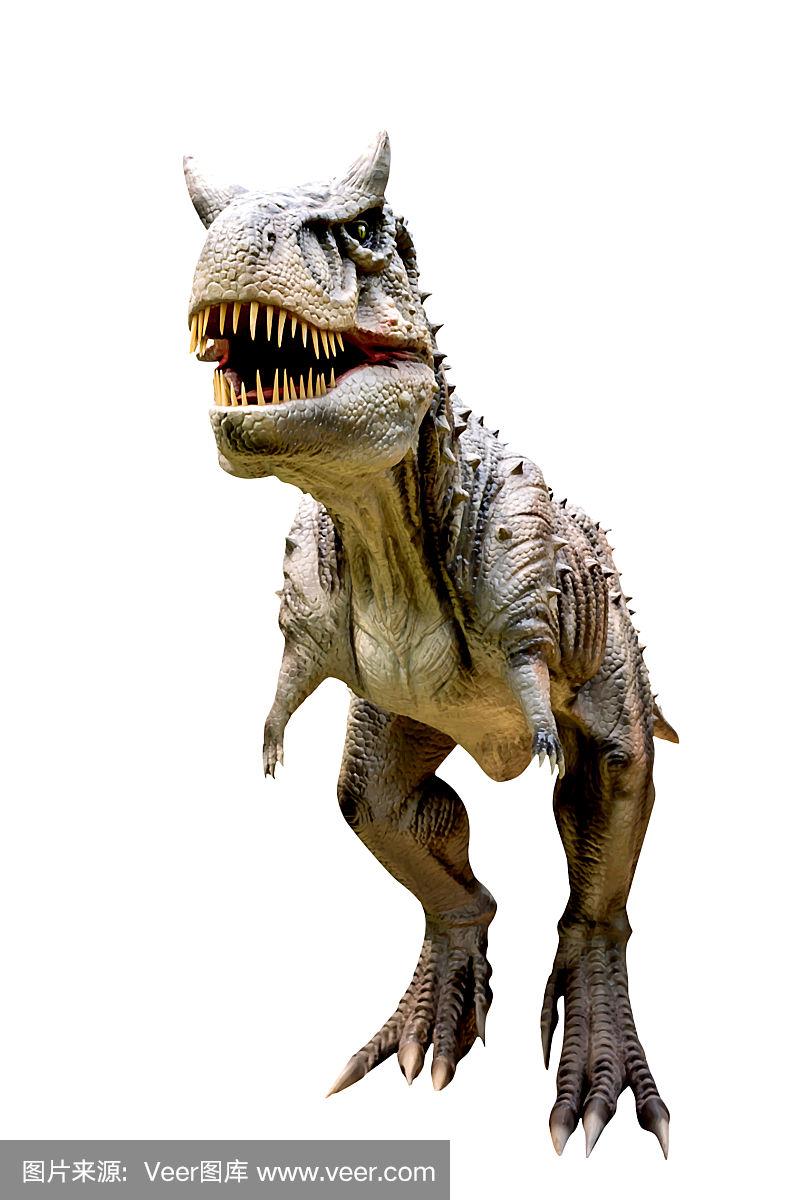 食肉牛龙,恐龙,白色背景,分离着色,怪物