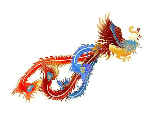 凤夜光手绘插画海报凤凰国潮国潮年货节凤凰新年喜庆灯笼建筑插画年货