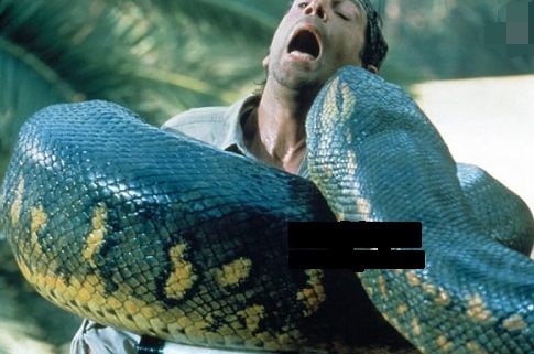 世界上最大的蛇有多长多重 它的叫什么名字-走红网