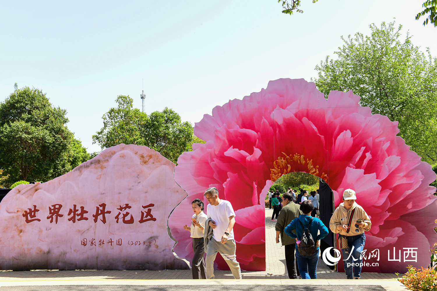 按期发布各园花情信息;洛阳市气象局提前一月发布预告:今年市区牡丹