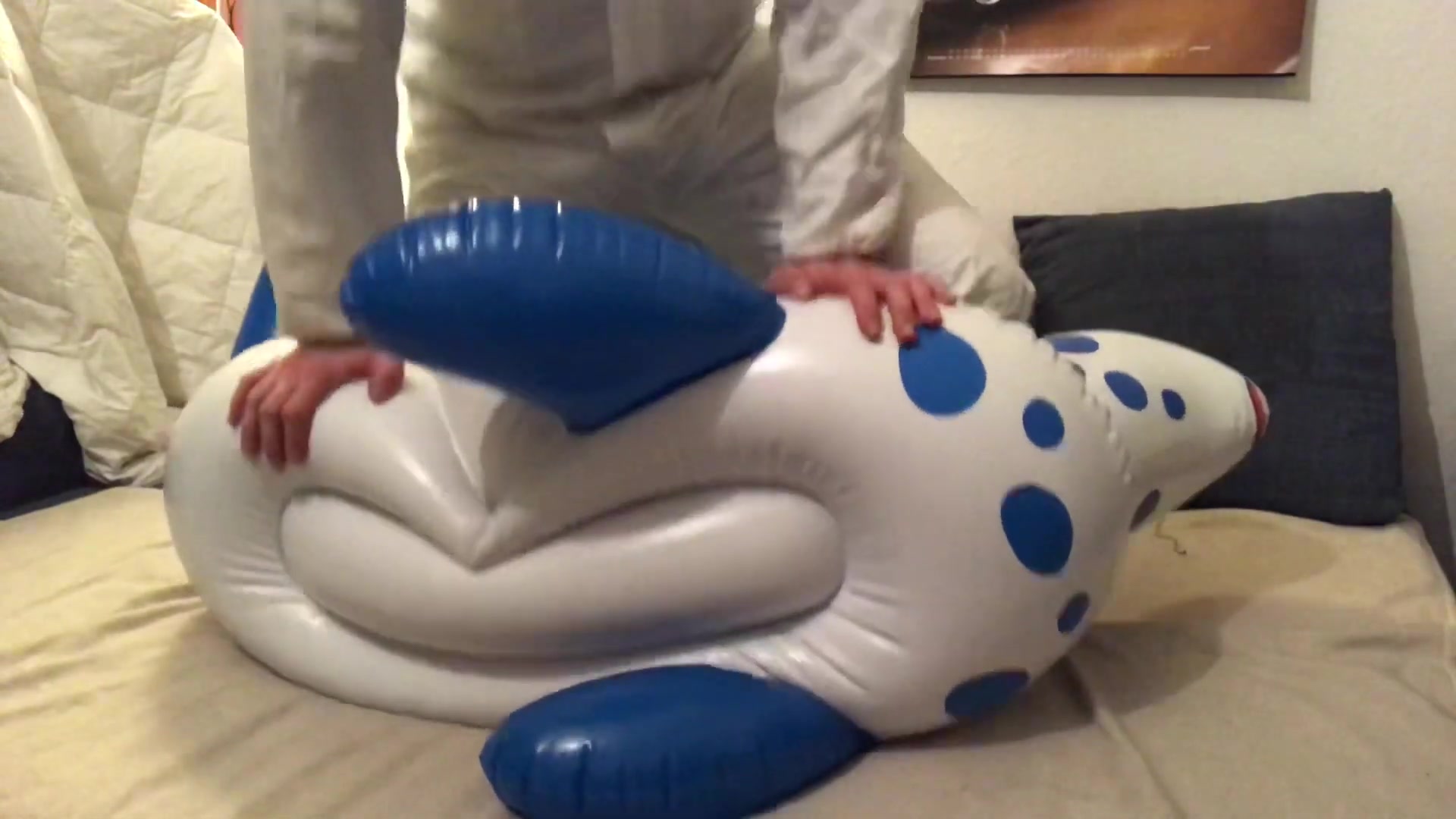 【looner气球迷恋】骑pvc充气海狗坐骑