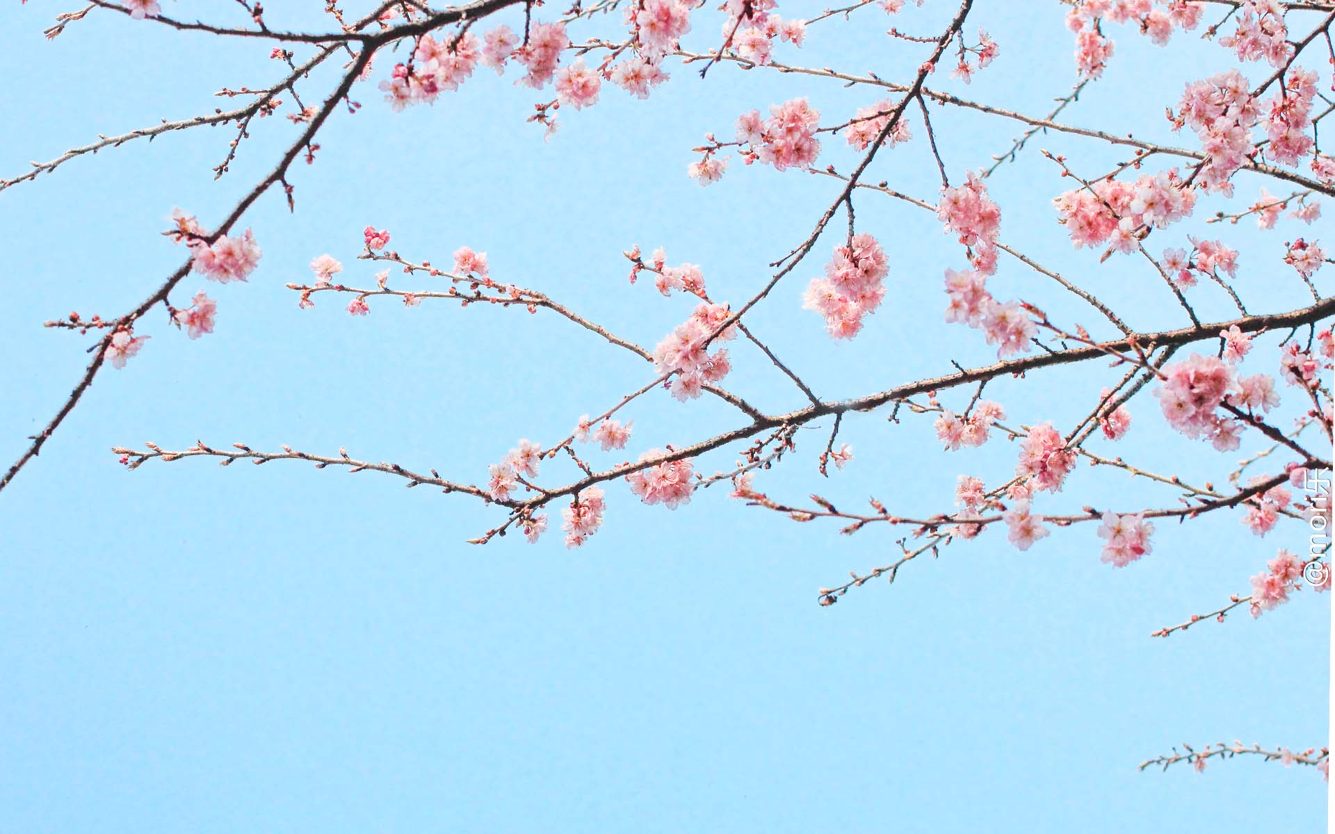 小清新唯美图片桌面壁纸~~为你的桌面换上一张干净清新简约的壁纸吧!