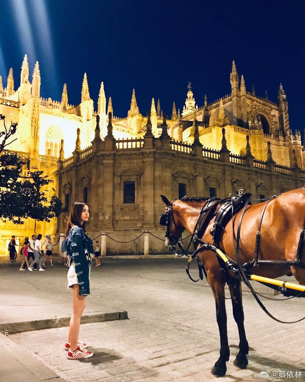 蔡依林看着马车,背后是城堡,这也太像是专辑的封面或是mv里的场景,谈
