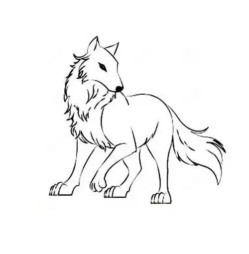 「素描插画教程」够你画完一整年的1000个简笔绘画教程·狼的画法教你