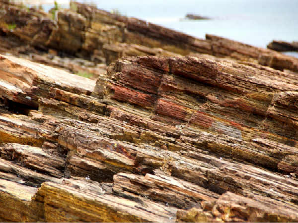 页岩是一种成分复杂,用途广泛的沉积岩,通常分为铁质页岩,炭质页岩,油