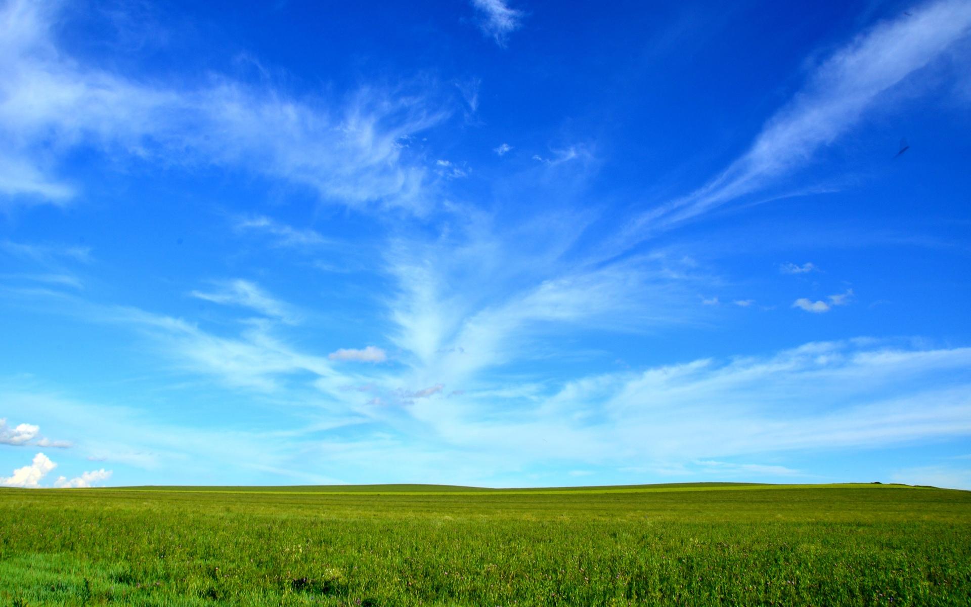 呼伦贝尔草原高清桌面壁纸