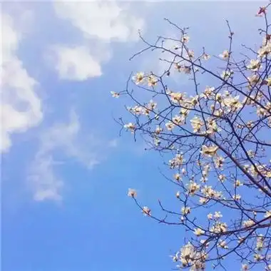 唯美风景头像图片大全高清