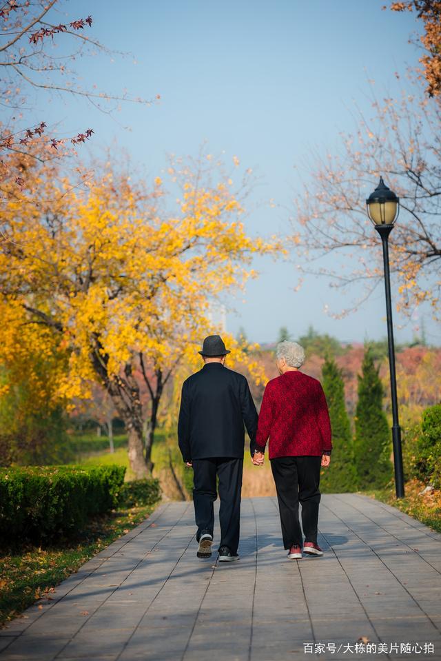 「摄影笔记」老年人情侣照片有什么pose,我这有套拍摄秘籍
