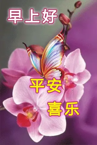早上好微信问候语表情包祝福早上好文字图片带字动态