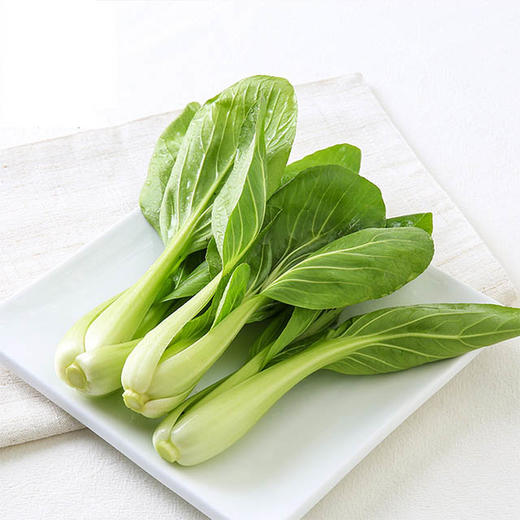 【bh】【jz】【城·食配】小青菜 约500g