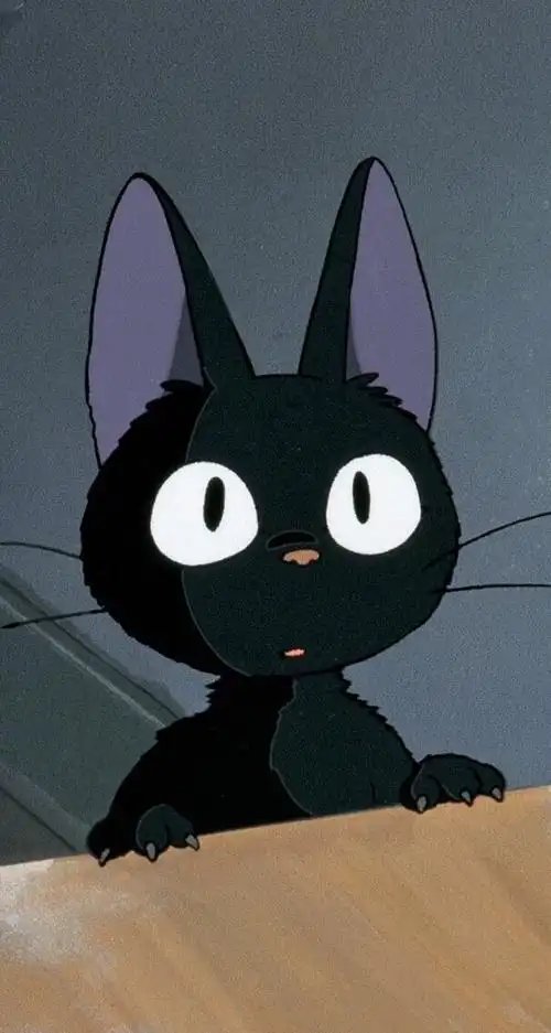 猫,迪尼斯,disney,卡通,动画片,动漫,头像,壁纸图片