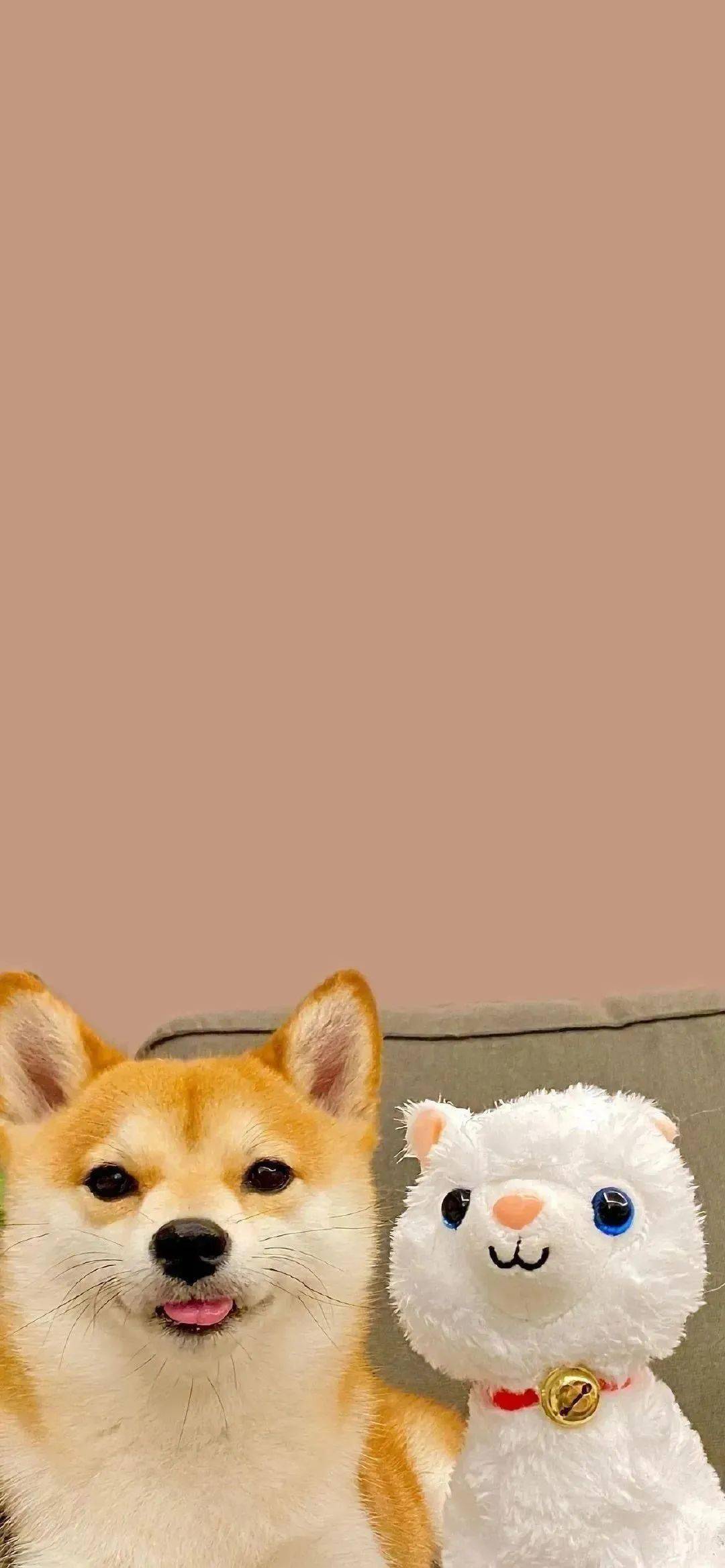 壁纸ins高级感简约壁纸