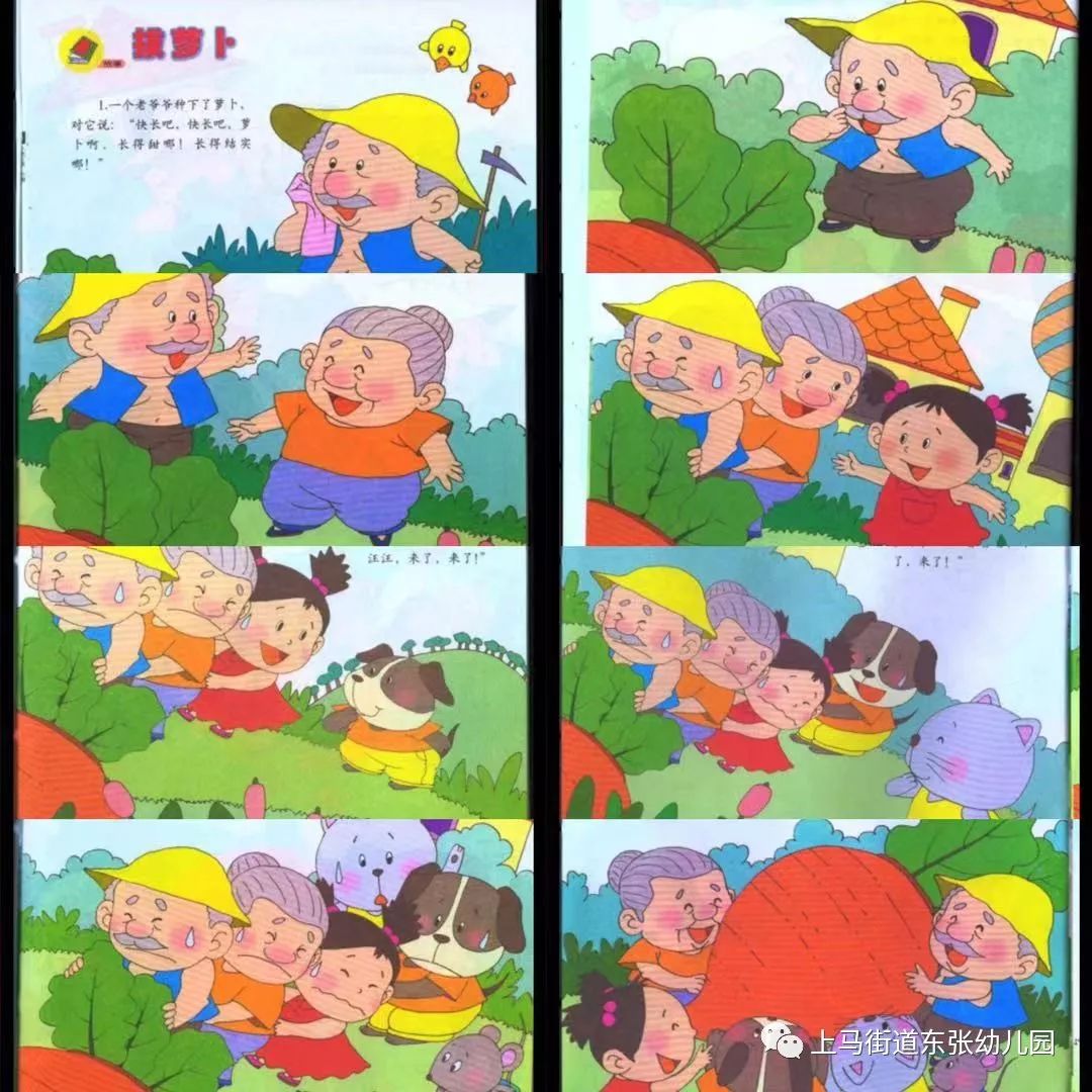 【追赶超越引领东张幼儿园幸福故事吧】——绘本故事《拔萝卜》和