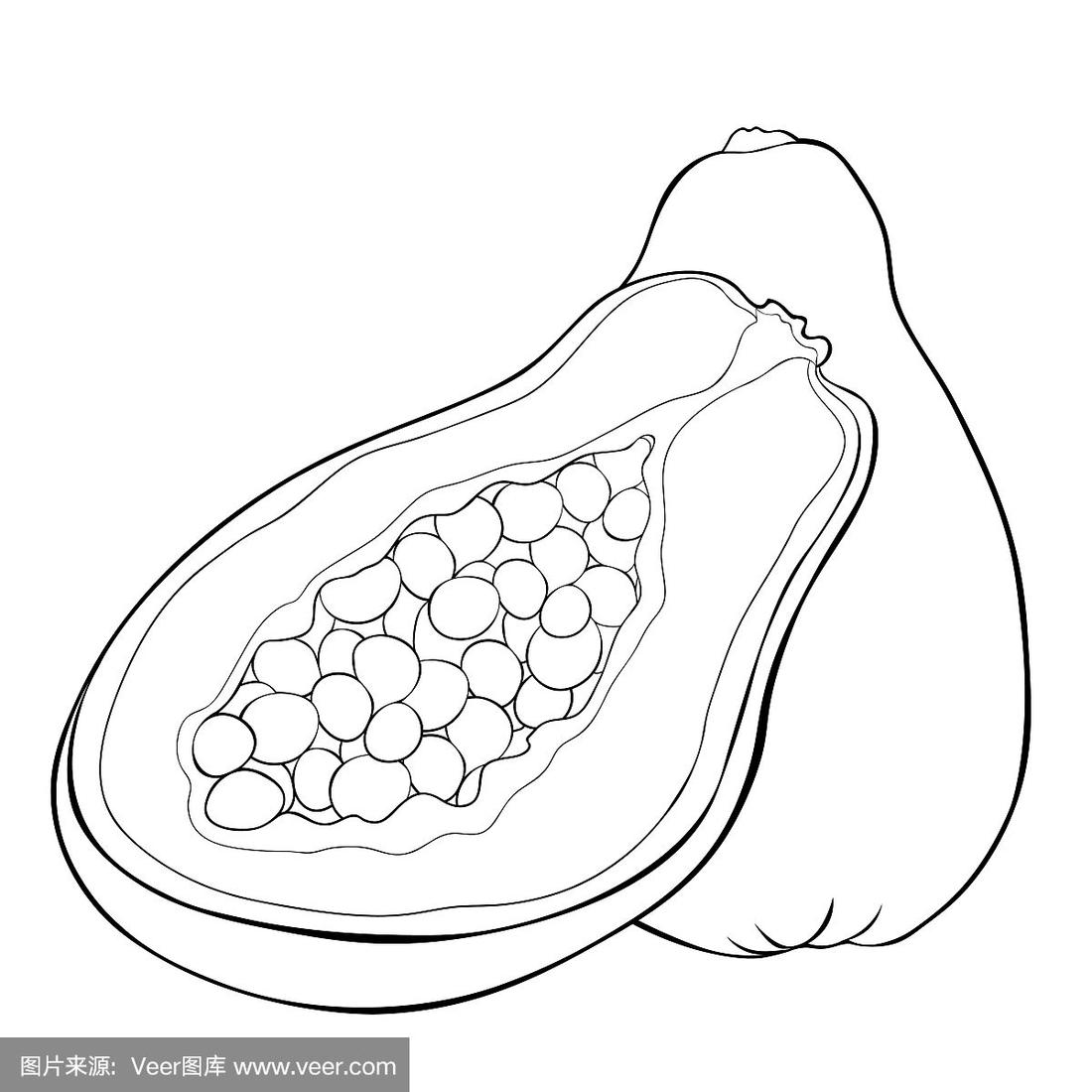 泰国的异国水果木瓜.矢量图