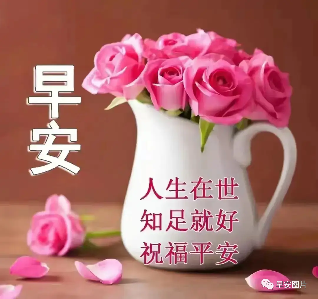 微信早安漂亮图片祝福,清晨送祝福,万事都顺心_问候_平安_一生