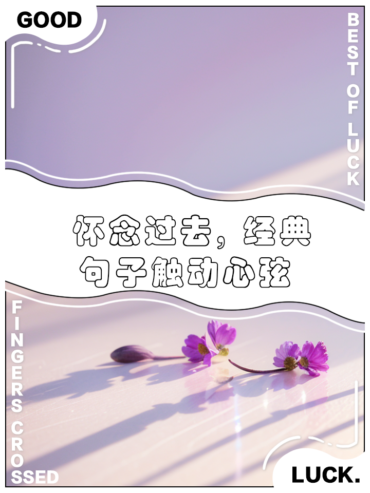 怀念过去,经典句子触动心弦