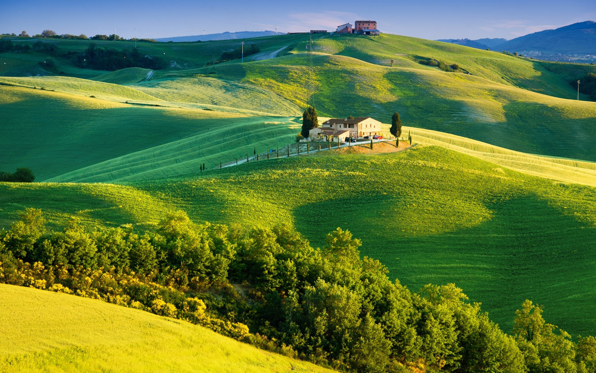 绿色清新护眼自然风景高清图片桌面壁纸