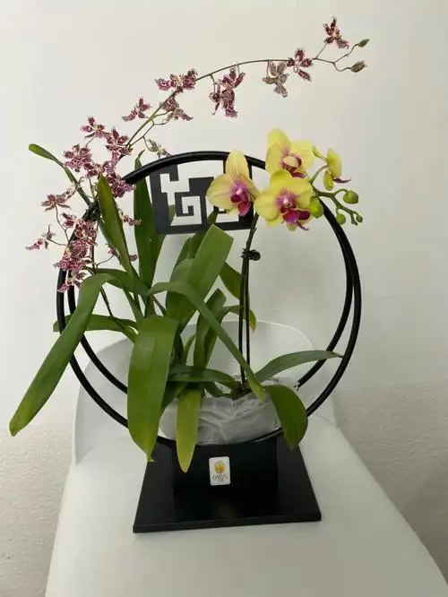 铁艺档次很高哦#现代风格  #文心花语现代风格稀缺必搭款 一秒解决