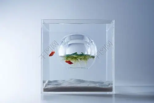 多彩透明生活用品产品设计jpg