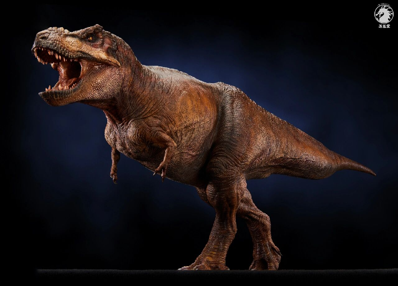 万茏堂科学复原霸王龙| 本人作品 本人拍摄万茏堂的新产品,设计师结合